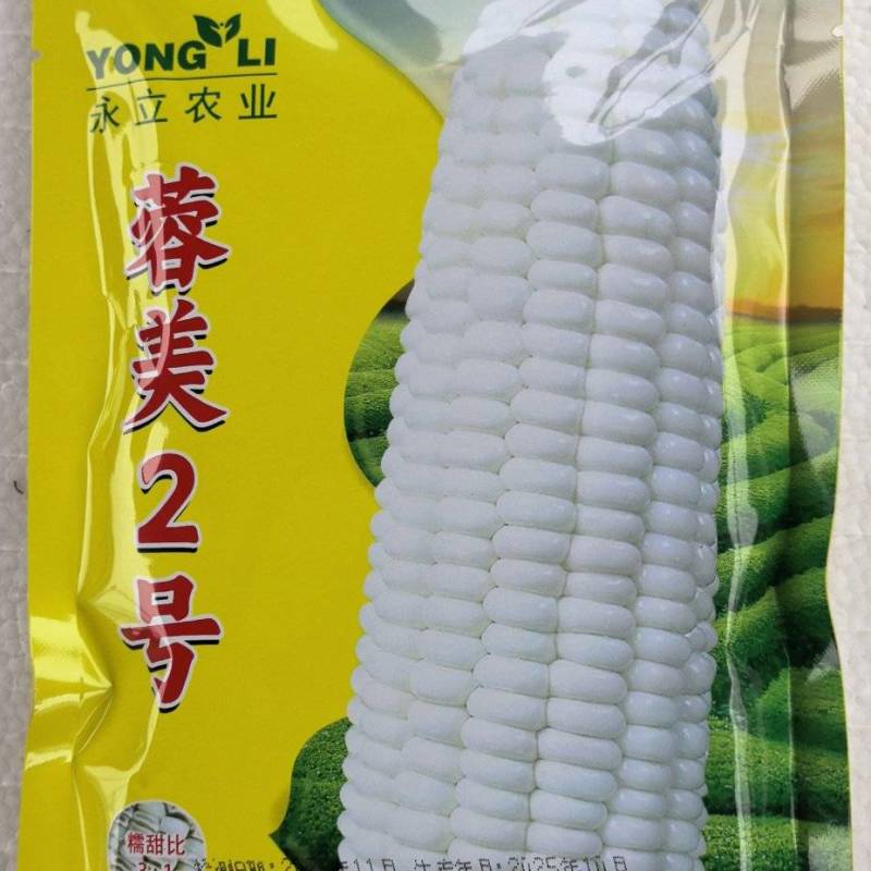 玉米种子蓉美2号白色甜加糯高产大棒适应性广春夏秋