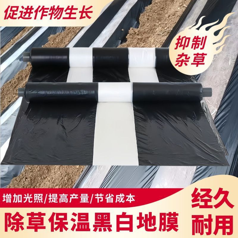 黑白地膜地膜单白双白地膜蔬菜土豆红薯西瓜草莓玉米用