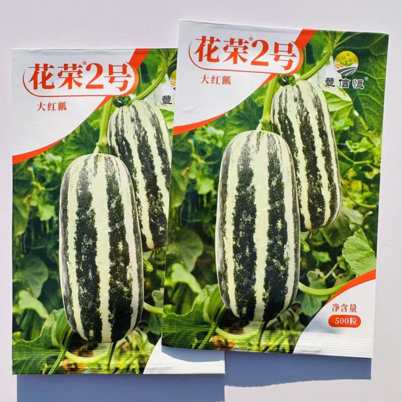 花荣2号甜瓜种子大红瓤绿肉干瓤超甜花皮甜瓜种籽酥脆香甜耐