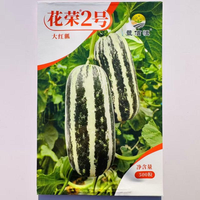 花荣2号甜瓜种子大红瓤绿肉干瓤超甜花皮甜瓜种籽酥脆香甜耐