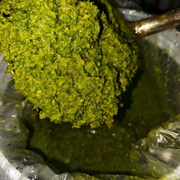 韭花酱瓶装的，电商产品