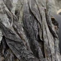 无沙干海带，量大从优，欢迎老板视频看货。