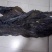 无沙干海带，量大从优，欢迎老板视频看货。
