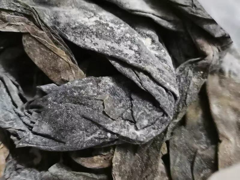 无沙干海带，量大从优，欢迎老板视频看货。