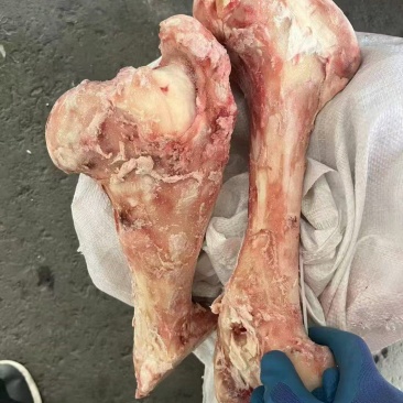 熬汤牛骨头