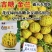吉糖金兰甜瓜种子露地版花皮绿肉高糖杂交甜瓜种子果肉硬度好