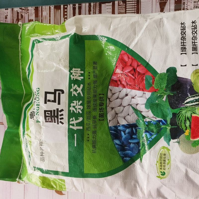 西瓜砧木抗病出苗整齐嫁接亲和力强连续坐果能力强根系发达