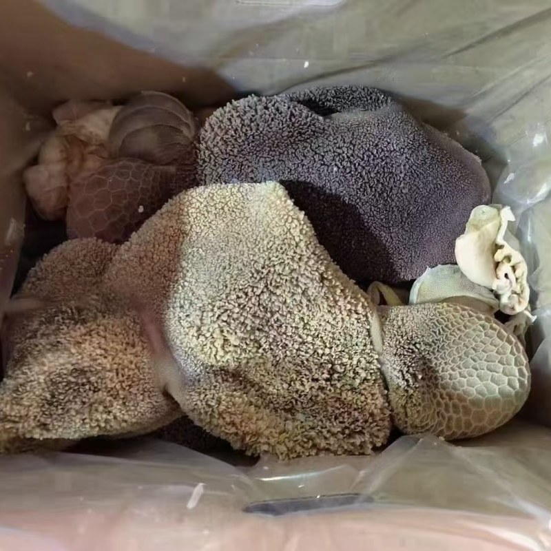 熟羊毛肚一手货源工厂，一件起发，全国发货