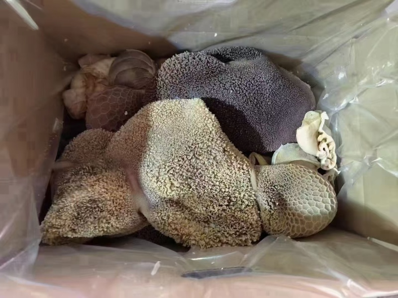 熟羊毛肚一手货源工厂，一件起发，全国发货