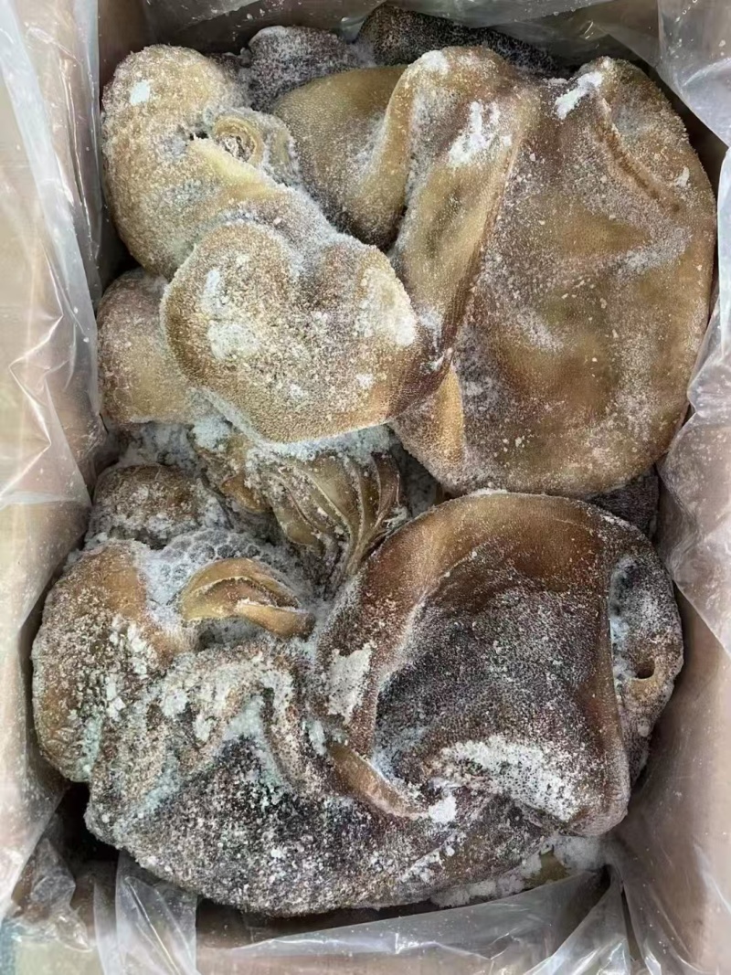 熟羊毛肚一手货源工厂，一件起发，全国发货
