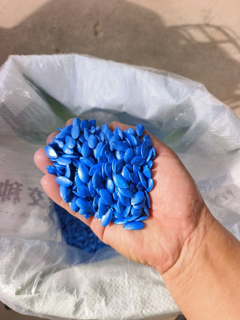 西瓜砧木抗病出苗整齐嫁接亲和力强连续坐果能力强根系发达