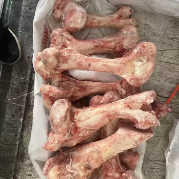 熬汤牛棒骨，一手货源工厂，一件起发，全国发货