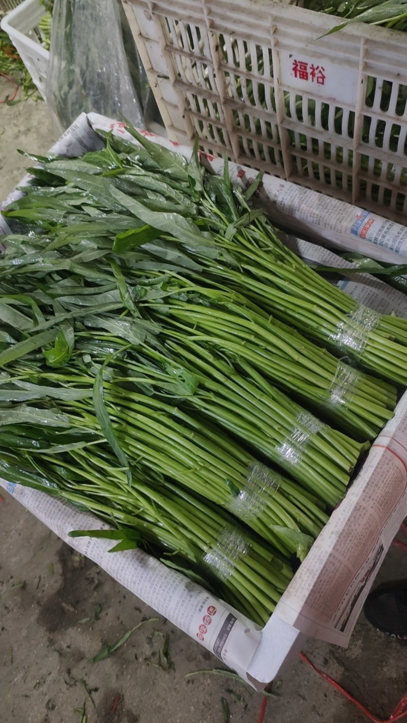 空心菜，青杆，白杆，产地直发