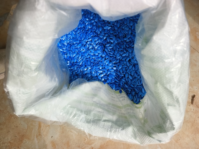 西瓜砧木抗病出苗整齐嫁接亲和力强连续坐果能力强根系发达
