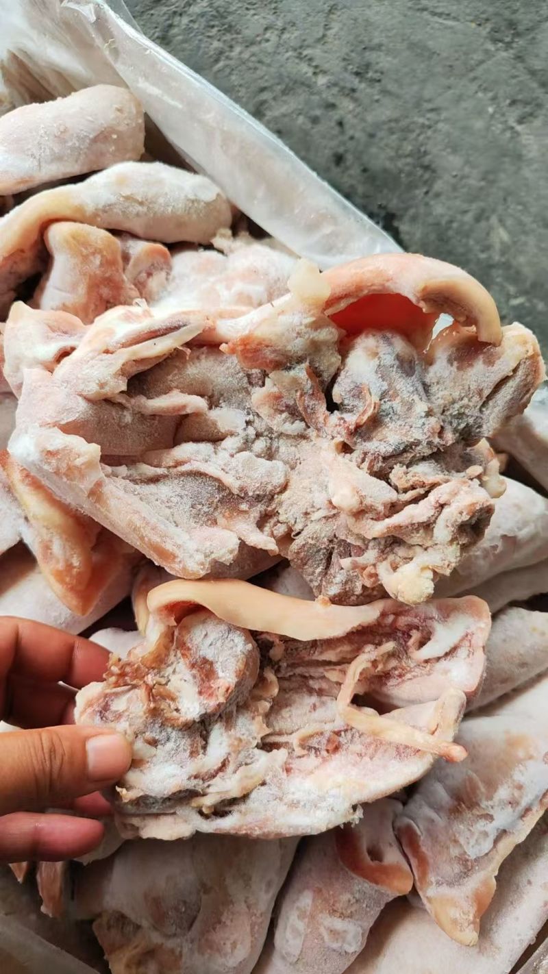 肥猪半熟小头肉18斤下称/箱20片左右
