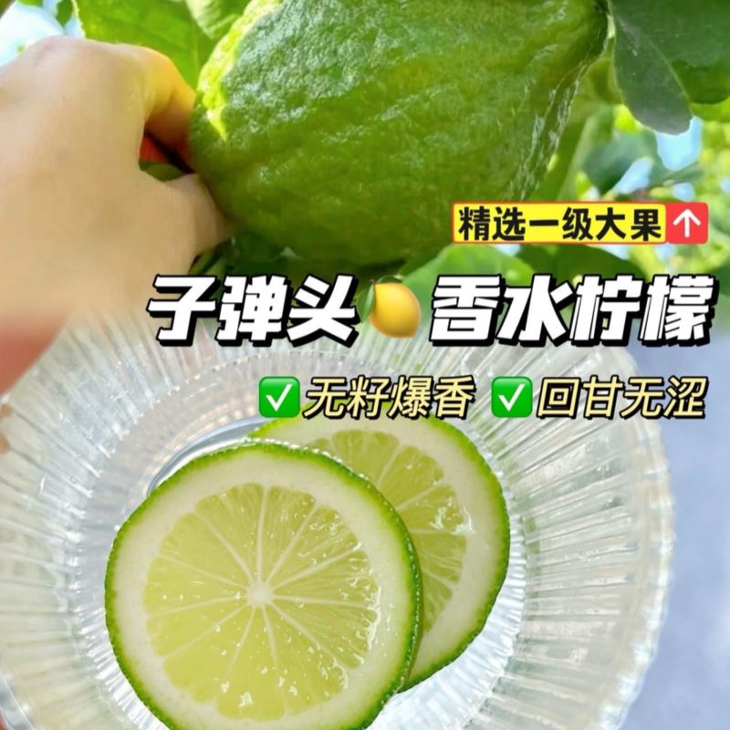 海南子弹头香水柠檬