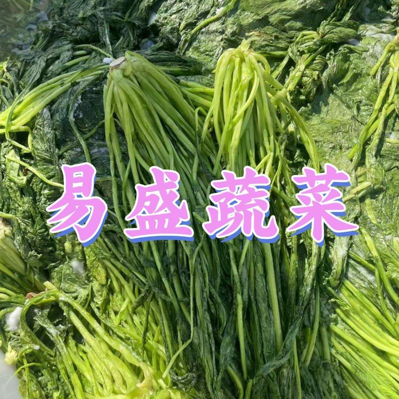 绿色雪菜雪里蕻咸菜下饭菜商用批发