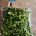 绿色雪菜雪里蕻咸菜下饭菜商用批发