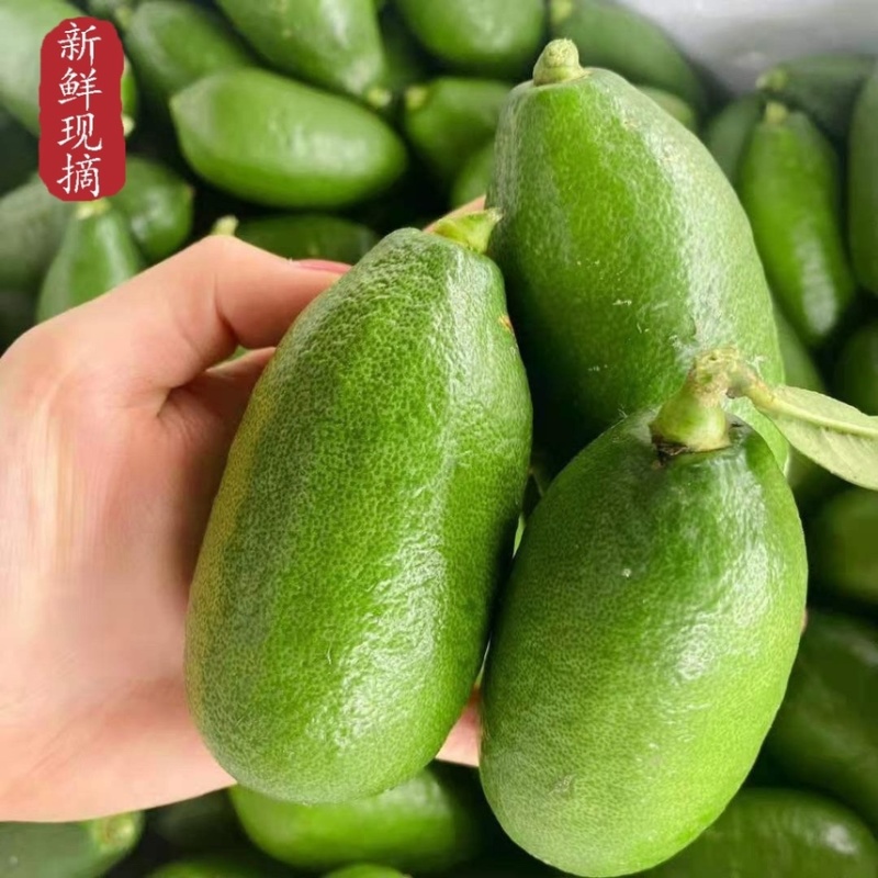 海南子弹头香水柠檬