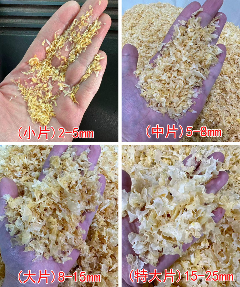 大片银耳片干净无杂质