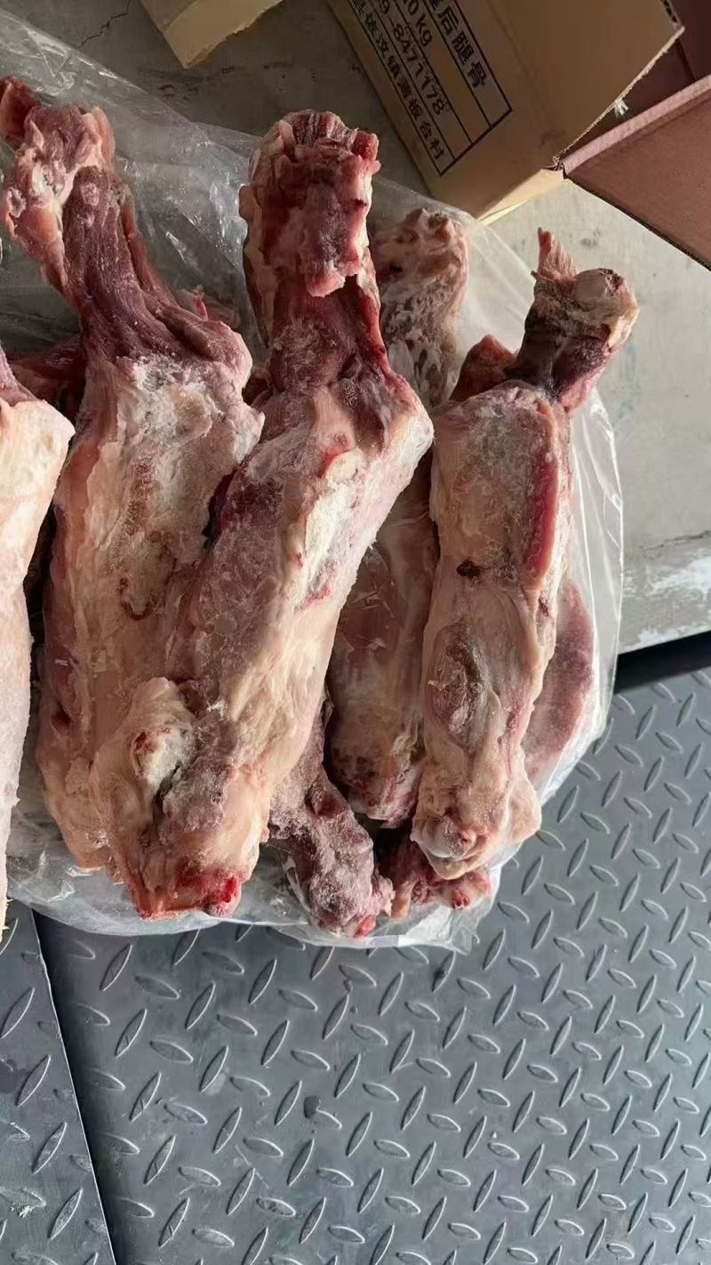 带腱后腿骨