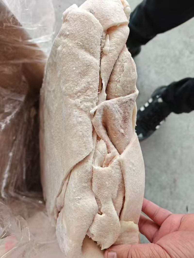 肥猪腿皮10kg/箱