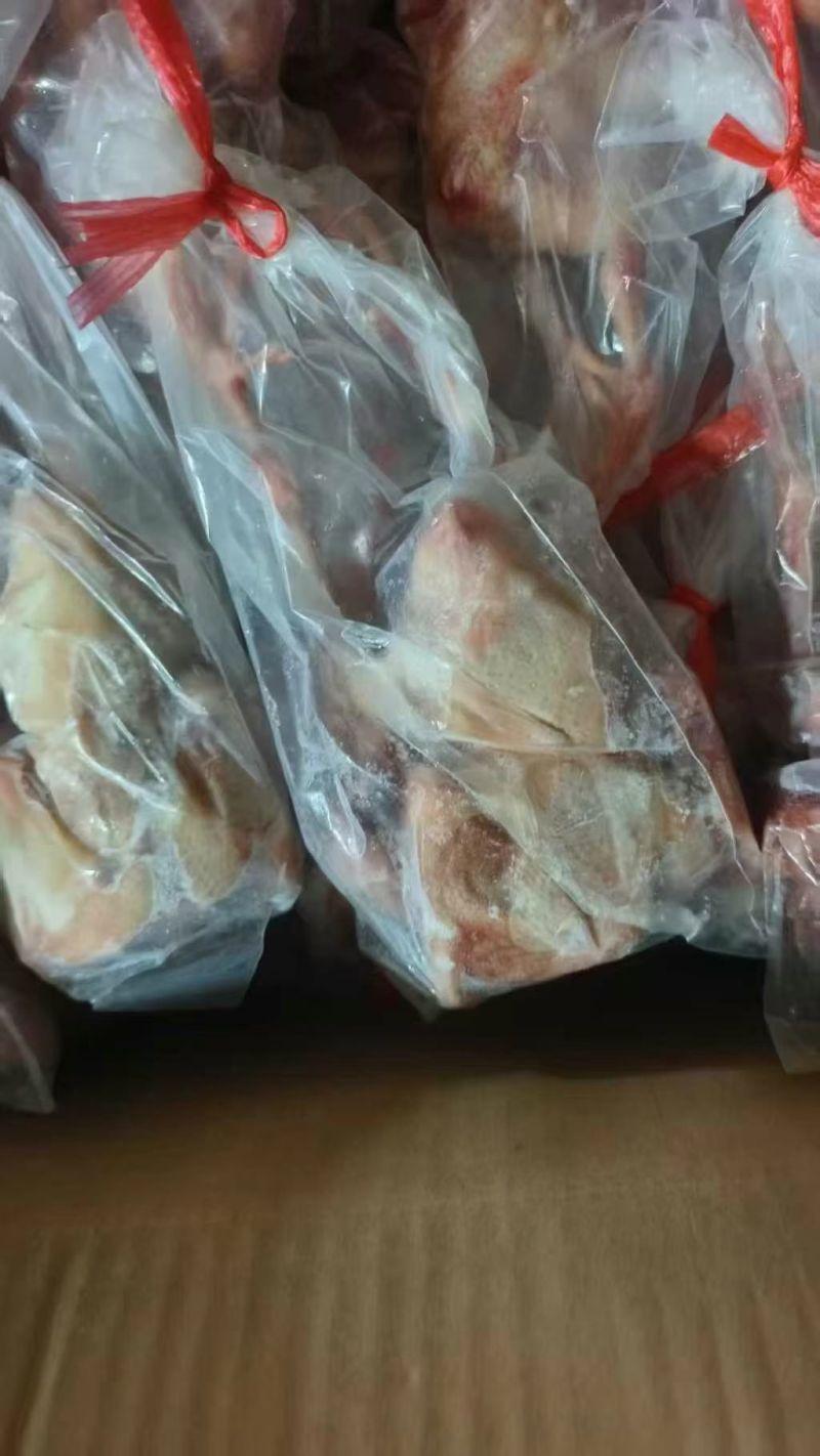 6-8两鸽子有货