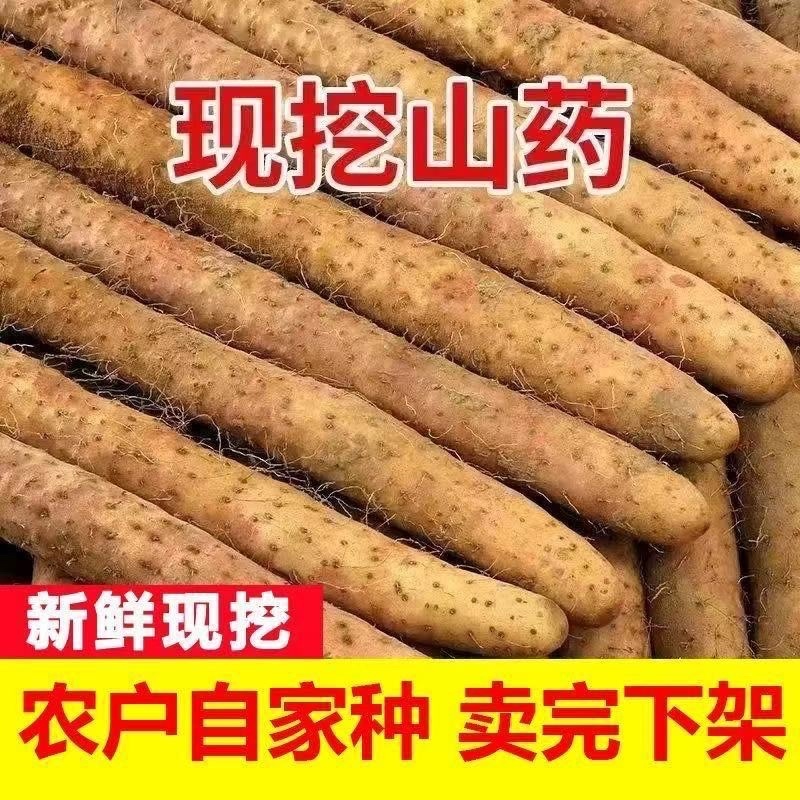 【山药】铁棍山药，支持视频看货，可发往全国市场，现挖现发