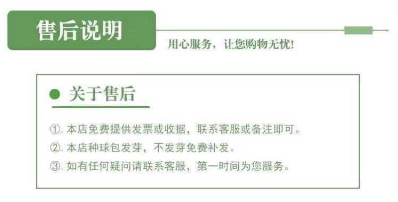 红花绿叶酢浆草种球炸酱草多年生植物庭院种植四季开花三叶