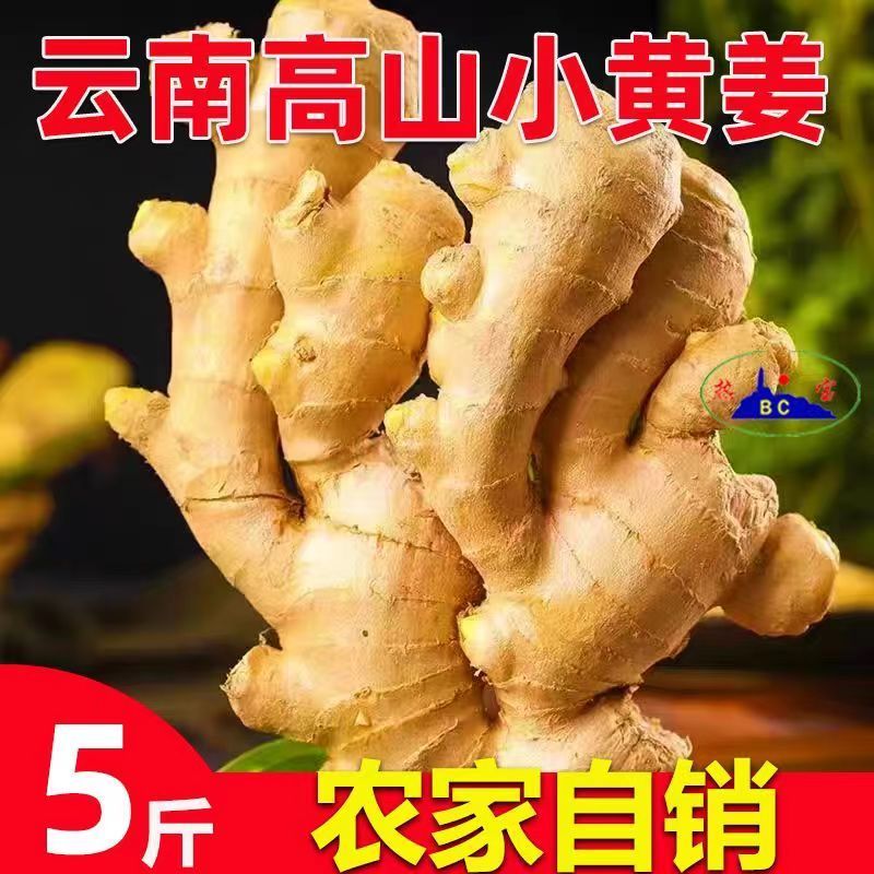 现挖云南小黄姜现货供应支持电商一件代发抖音多多视频号