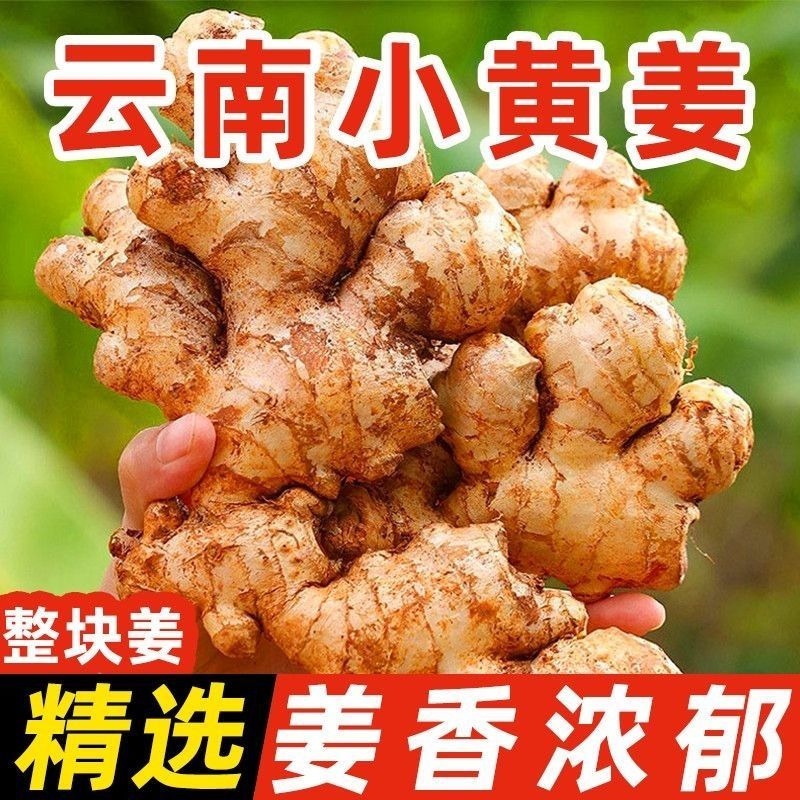 现挖云南小黄姜现货供应支持电商一件代发抖音多多视频号