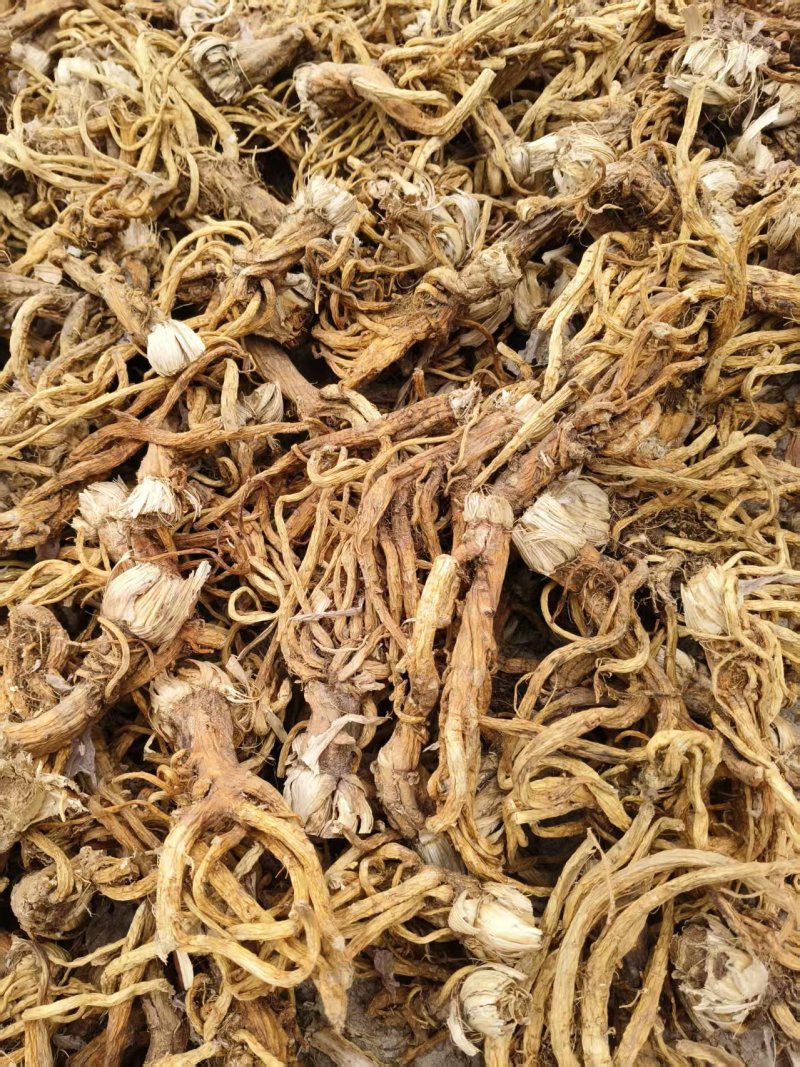 中药材出售有意者联系，木香芹艽