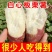 正宗白心红薯新鲜红皮白瓤板栗薯粉糯干面白薯白肉番薯栗子