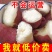 正宗白心红薯新鲜红皮白瓤板栗薯粉糯干面白薯白肉番薯栗子