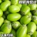 .【青茄子】海绵茄子/青茄子/青圆茄子/产区直发