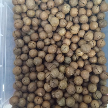 夏威夷果电商货
