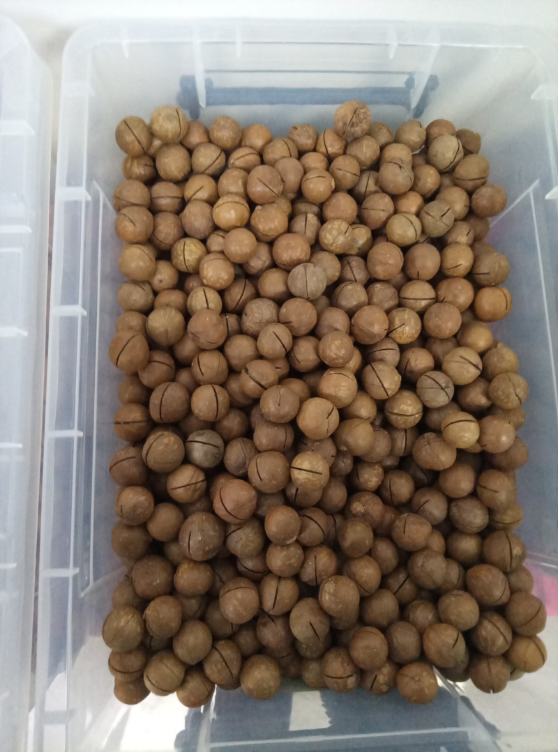 夏威夷果电商货