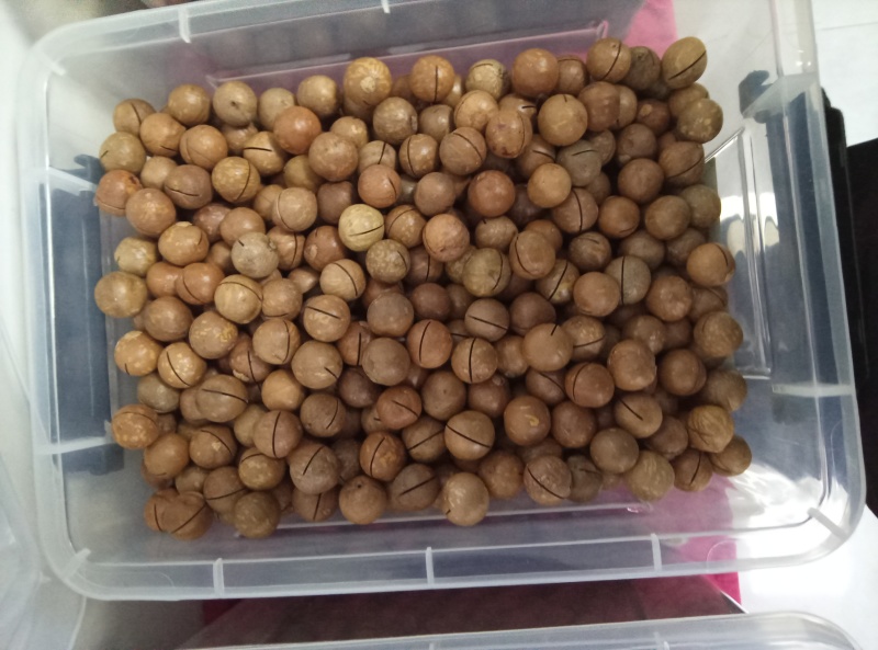 夏威夷果电商货