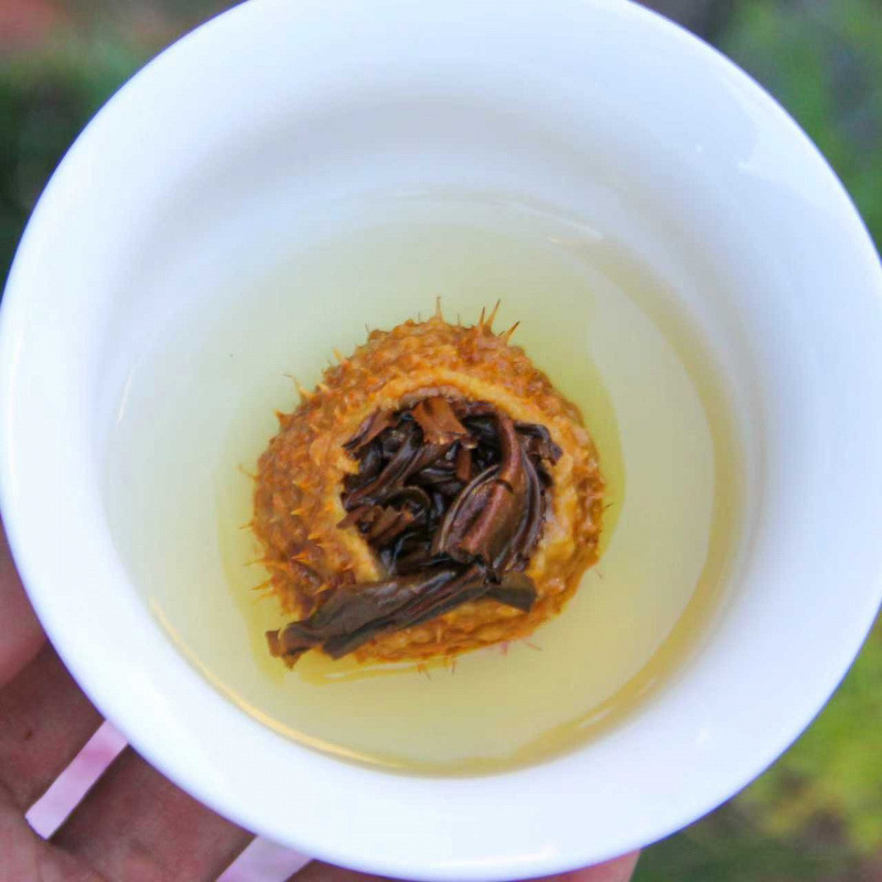 刺梨红茶2025年新品刺梨红茶包邮