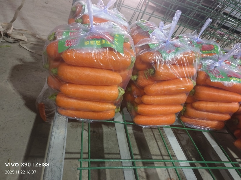水洗红罗卜打量供应
