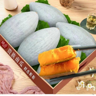贵族南瓜