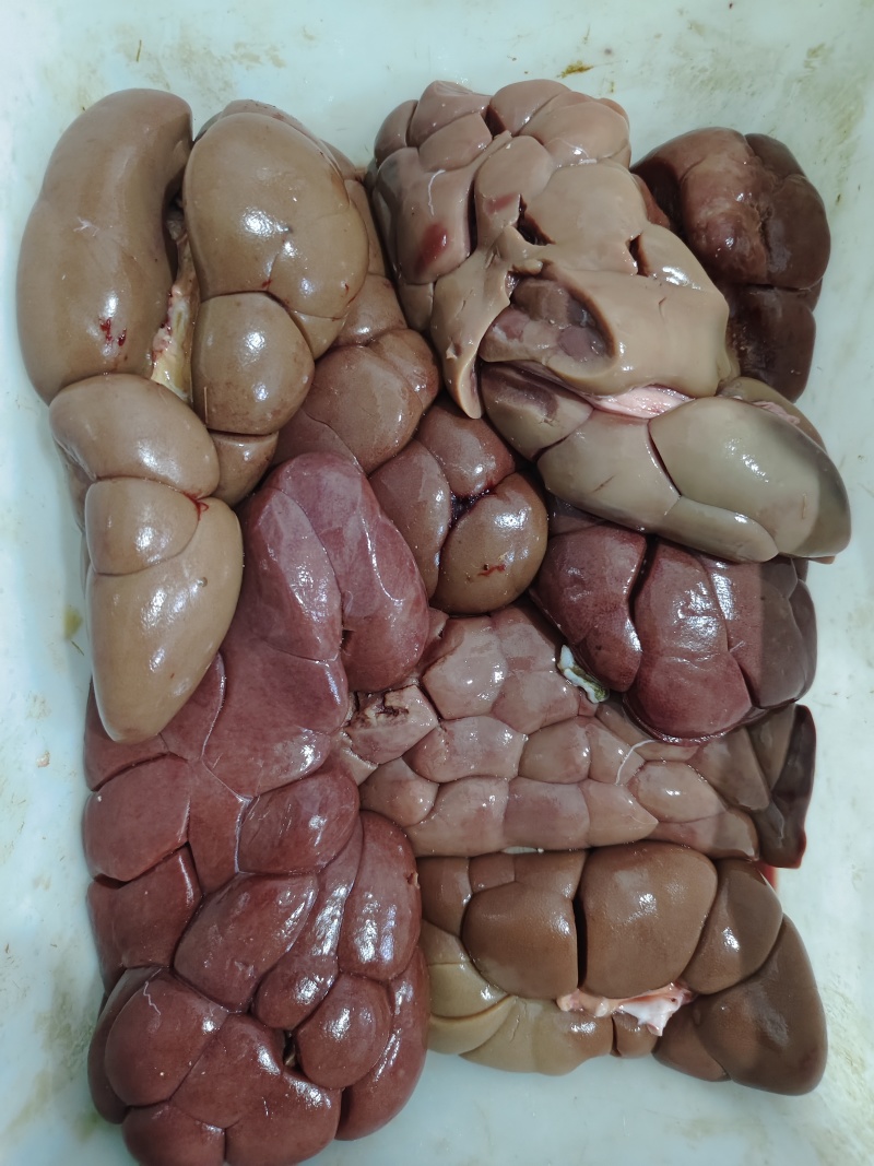 牛净腰，锡盟厂家直销，全国常年供货，质量保证，手续齐全