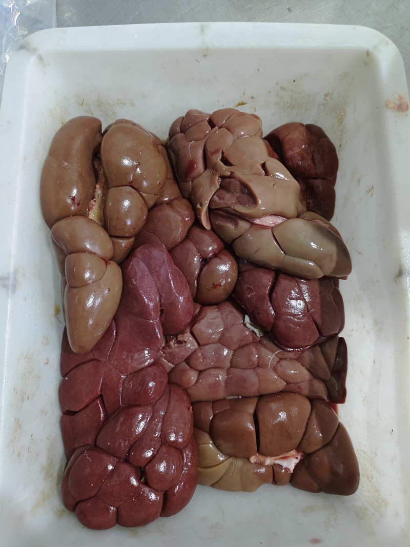 牛净腰，锡盟厂家直销，全国常年供货，质量保证，手续齐全