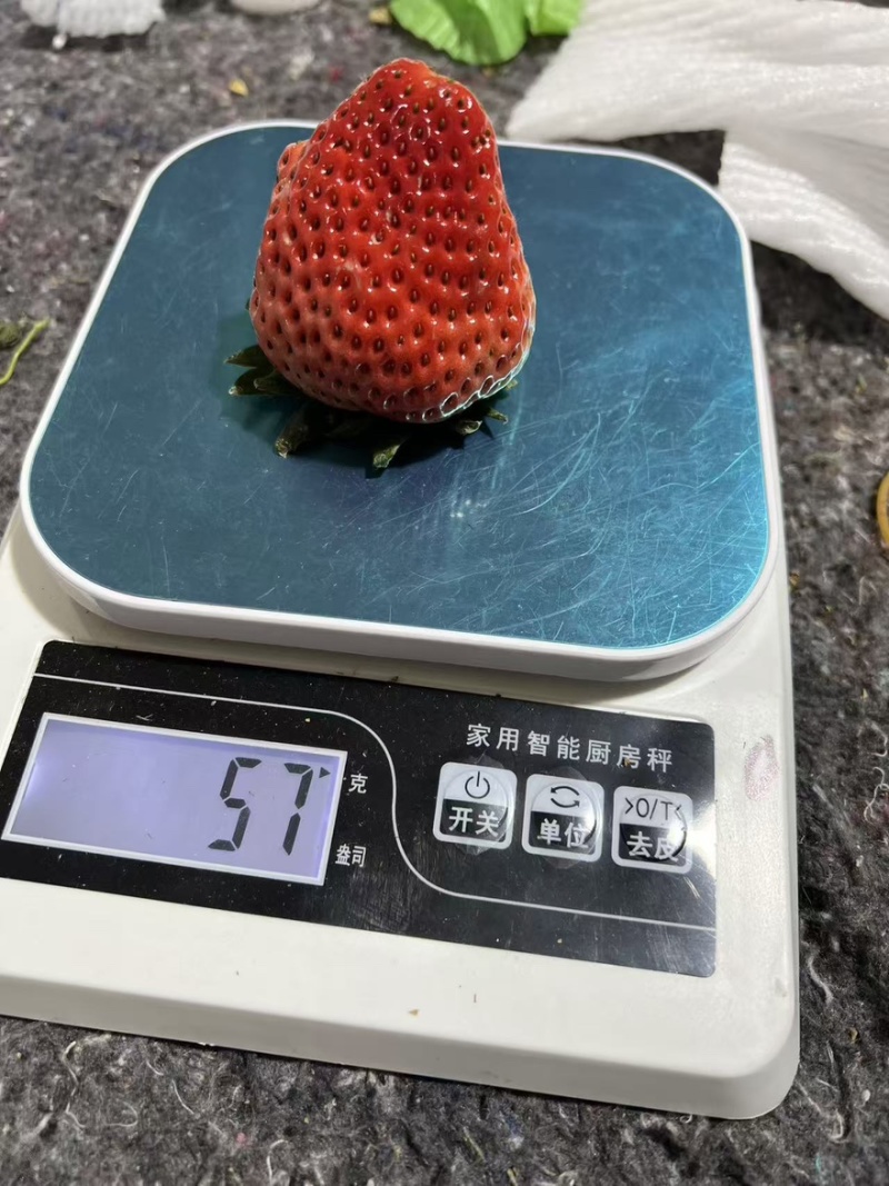 天仙醉草莓，现摘现发，量大优惠，价格可谈！