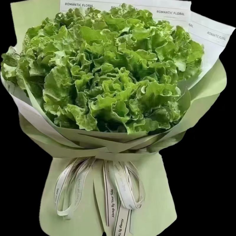 生菜