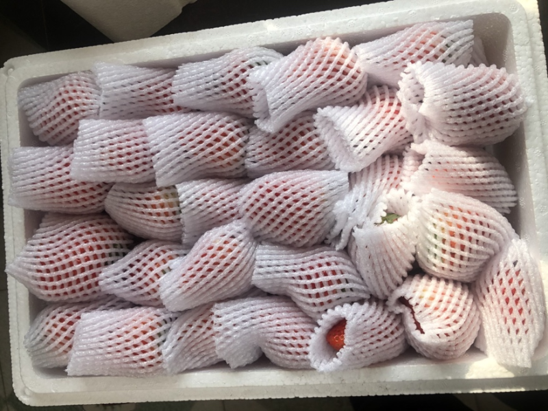 九九草莓，一手货源，保质保量，可视频看货，诚信经