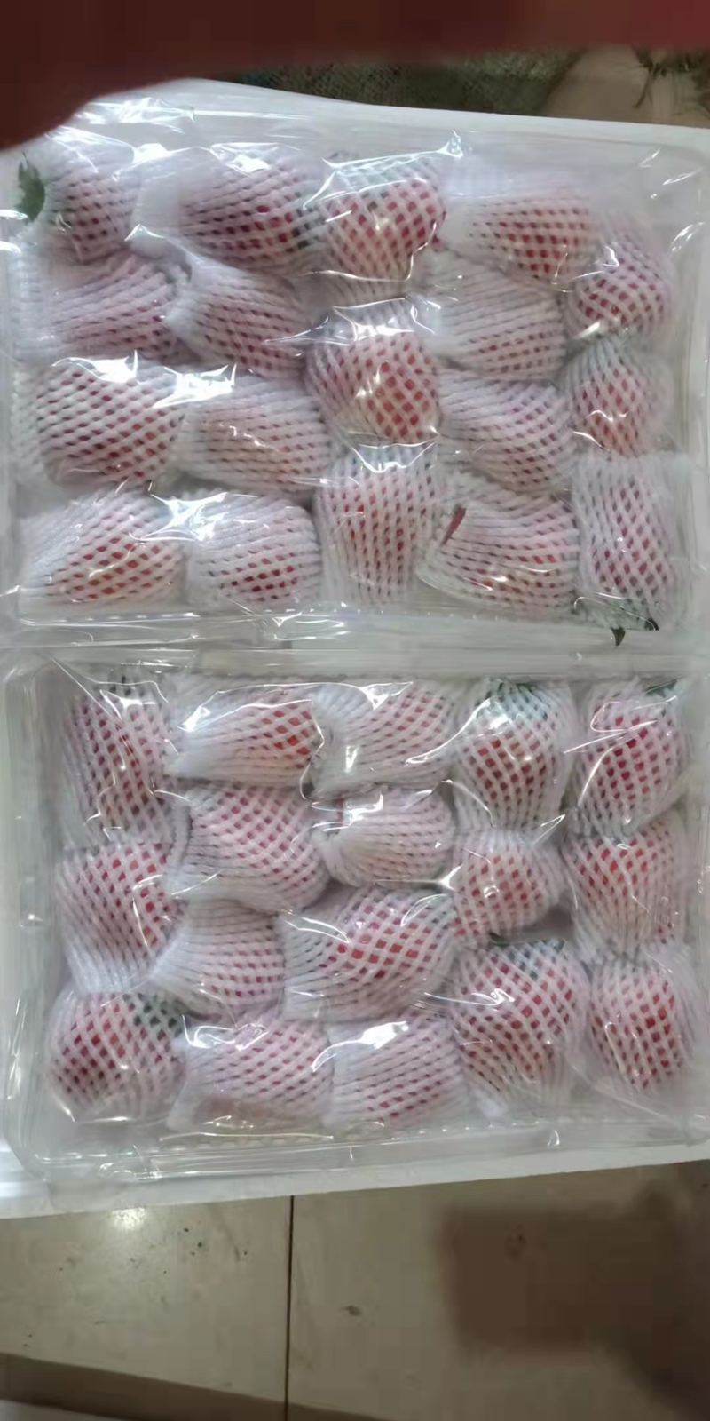 九九草莓，一手货源，保质保量，可视频看货，诚信经