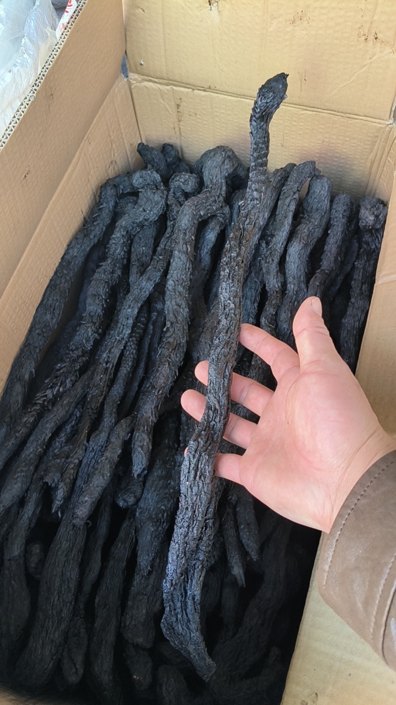 只卖软质油苁蓉软质【精选推荐】拒绝加水肉苁蓉不满意退