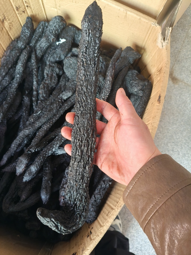 只卖软质油苁蓉软质【精选推荐】拒绝加水肉苁蓉不满意退