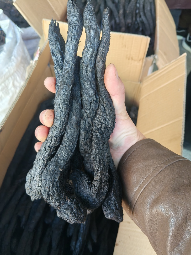 只卖软质油苁蓉软质【精选推荐】拒绝加水肉苁蓉不满意退